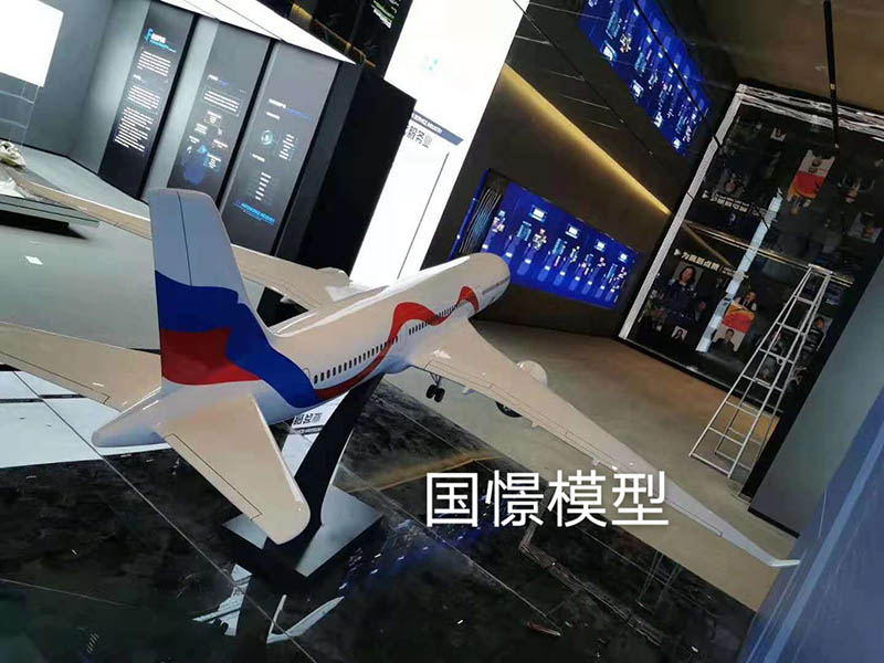 甘南飞机模型